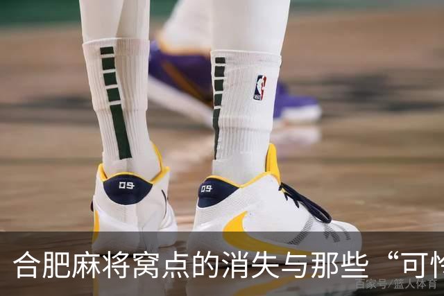 合肥麻将窝点的消失与那些“可怜的猪